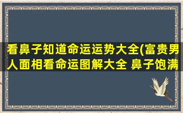 看鼻子知道命运运势大全(富贵男人面相看命运图解大全 鼻子饱满一生财气)